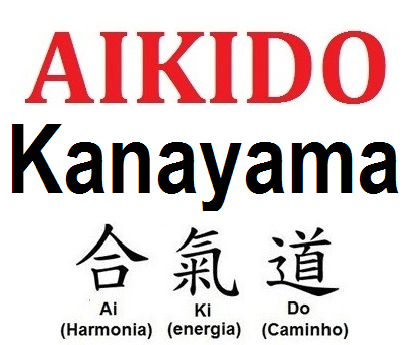 Aikido significado